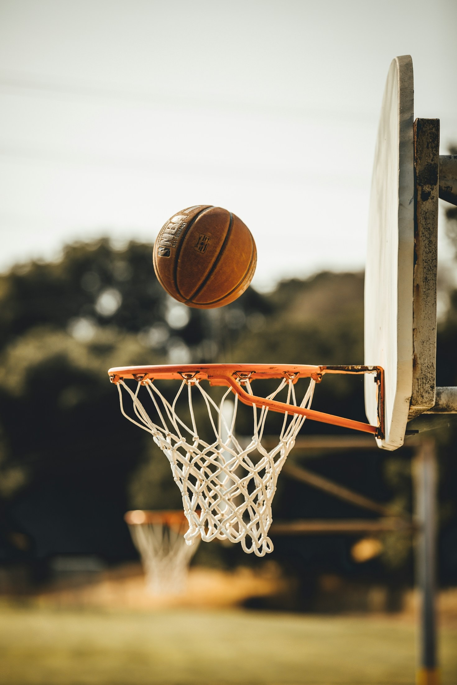 The Rise of Women in Competitive Sports